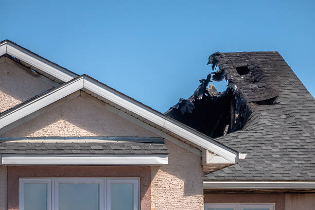 Top rated local Odor Removal specialists in Odessa, TX